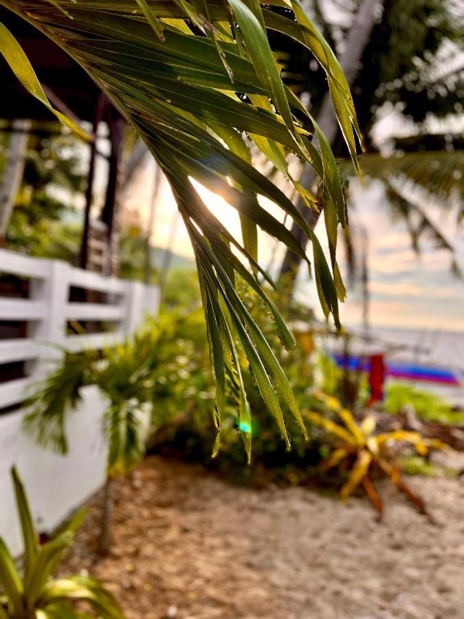 Amami Beachfront Villa With Private Beach Puerto Galera Exteriör bild