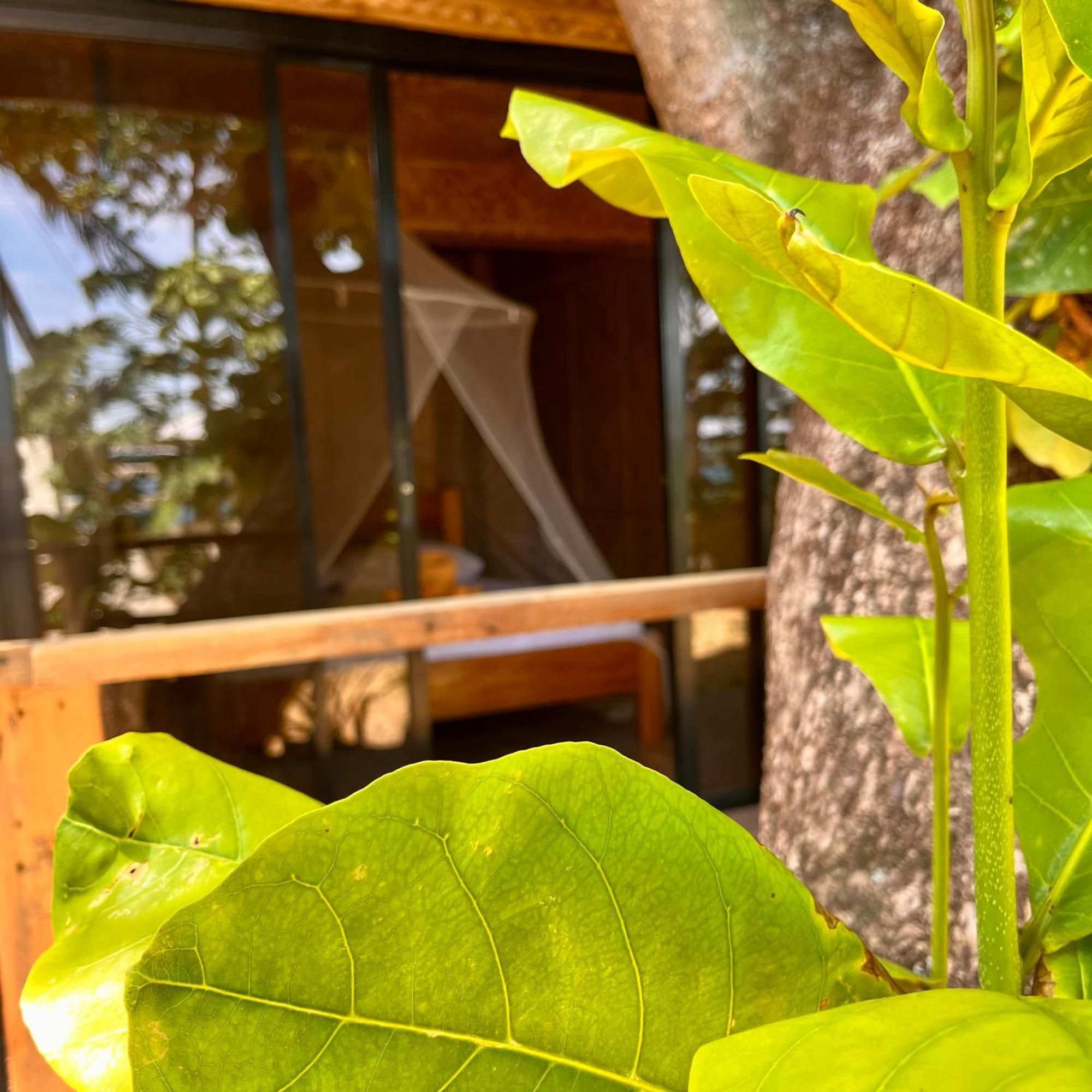 Amami Beachfront Villa With Private Beach Puerto Galera Exteriör bild
