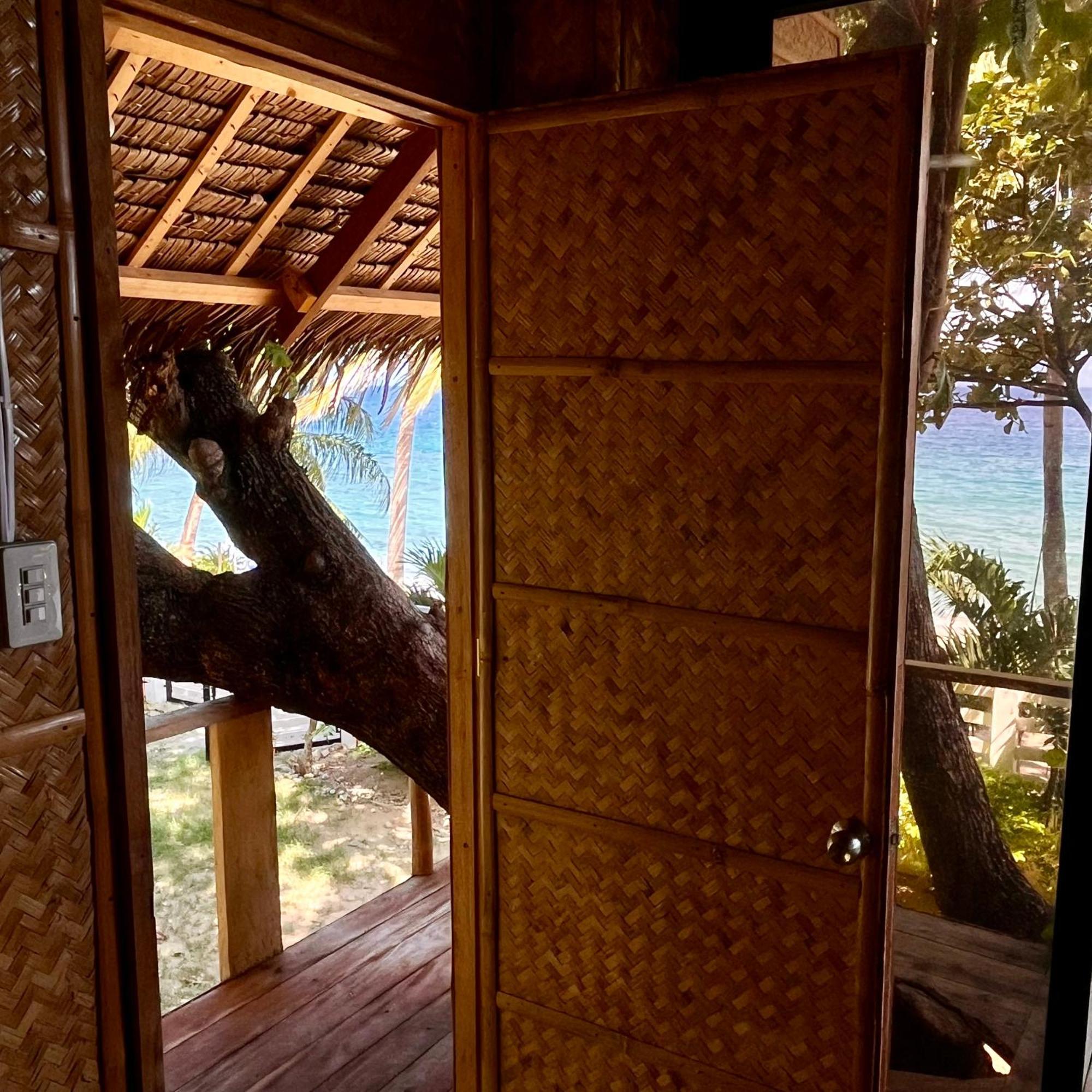 Amami Beachfront Villa With Private Beach Puerto Galera Exteriör bild