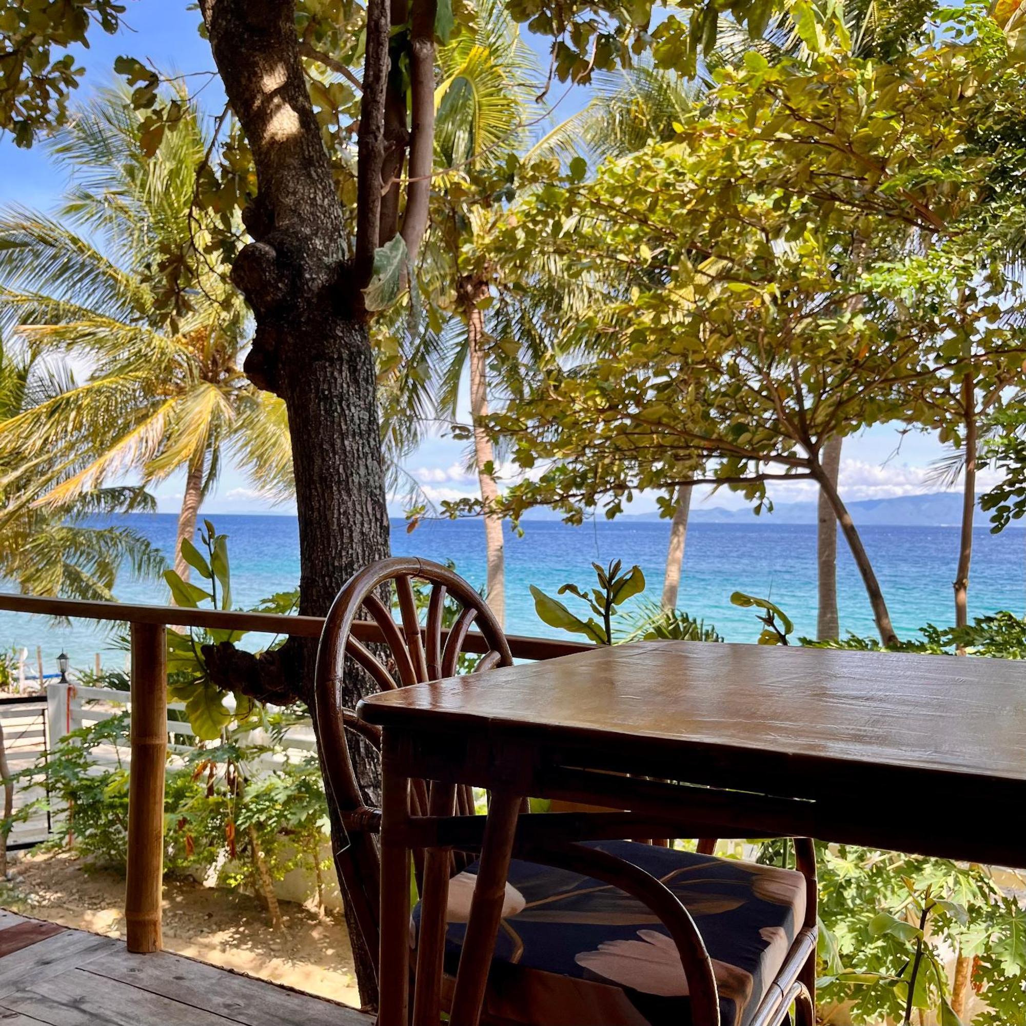 Amami Beachfront Villa With Private Beach Puerto Galera Exteriör bild